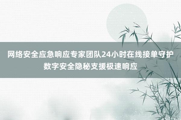 网络安全应急响应专家团队24小时在线接单守护数字安全隐秘支援极速响应