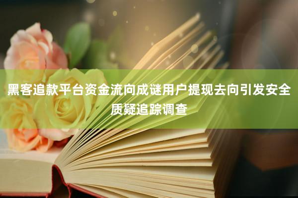 黑客追款平台资金流向成谜用户提现去向引发安全质疑追踪调查