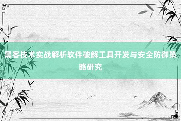 黑客技术实战解析软件破解工具开发与安全防御策略研究