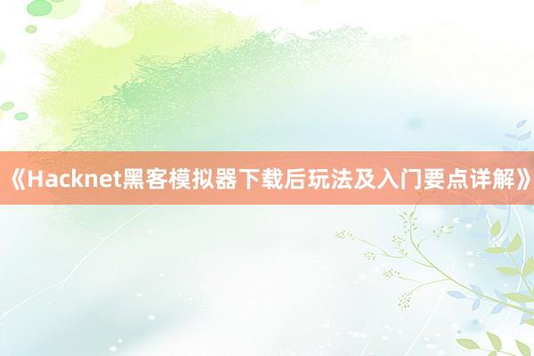 《Hacknet黑客模拟器下载后玩法及入门要点详解》